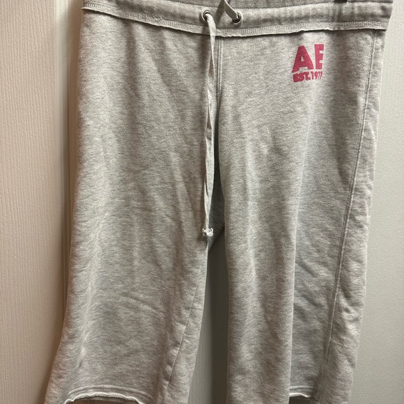 American Eagle Outfitters Pants - American Eagle Outfitters Women's Gray Sweat Shorts size M/ NWOT A218